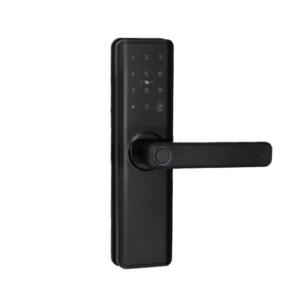 BELDON-BN-F-31 Fingerprint Smart Door Lock
